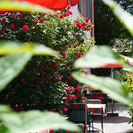 Otel Lukashansl 3*